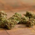 Discover the Cheapest Online Dispensary in Canada: Quality Cannabis at Unbeatable Prices