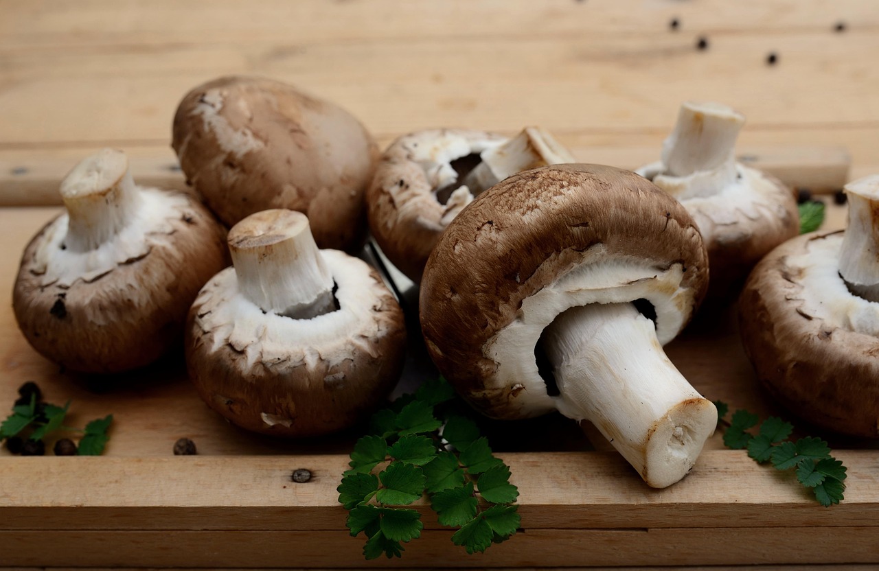 Mushrooms, edible mushrooms, vegetarian — Build Strong Therapeutic Skills as a PMHNP