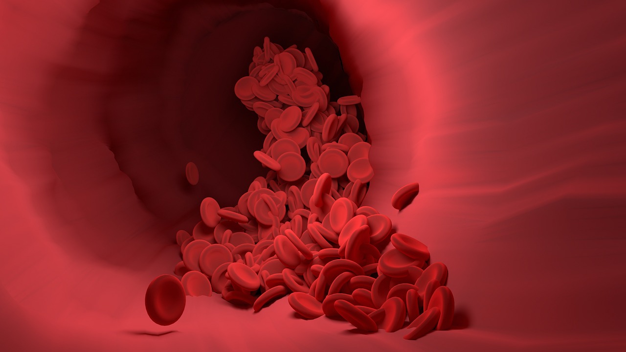 Red blood cells, blood vessel, blood flow — Endoscopic spine surgery FL ensuring effective pain relief with minimal tissue da
