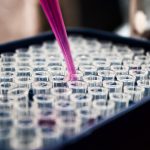SARMs Canada: Top Trends Shaping the Canadian Research Market