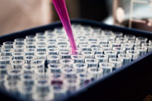 A pipette dispensing liquid into a tray of test tubes in a laboratory setting.